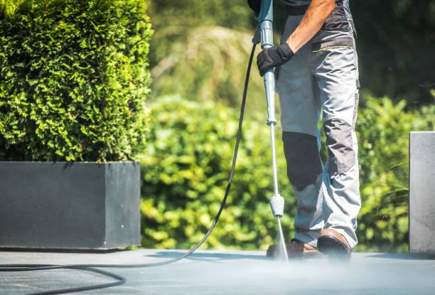 Best Sign and Awning Cleaning  in Brilliant, AL